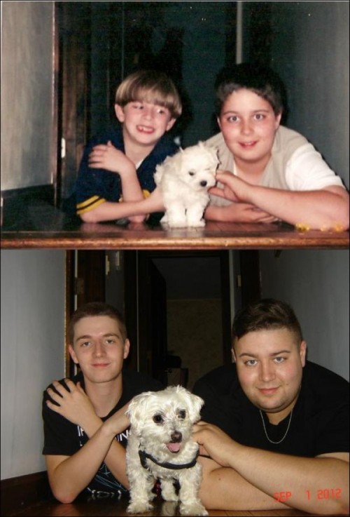 hornoxe.com_frueherheute_picdump01_15