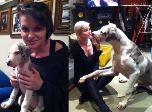 hornoxe.com_frueherheute_picdump02_34