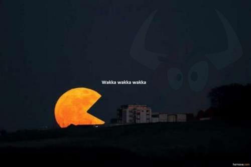 hornoxe.com_picdump200_200