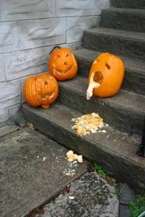 hornoxe.com_halloween_kotzende_kuerbisse_15