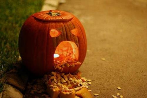 hornoxe.com_halloween_kotzende_kuerbisse_25