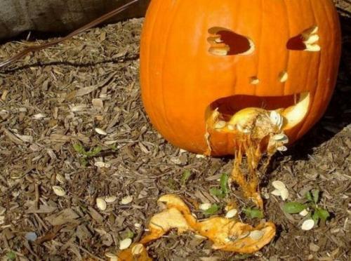 hornoxe.com_halloween_kotzende_kuerbisse_31