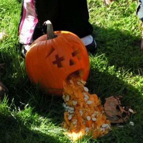 hornoxe.com_halloween_kotzende_kuerbisse_33