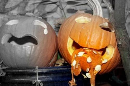 hornoxe.com_halloween_kotzende_kuerbisse_38