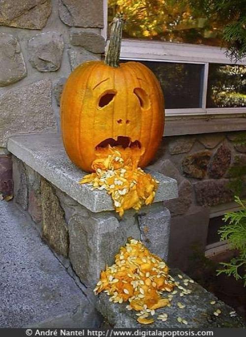 hornoxe.com_halloween_kotzende_kuerbisse_49