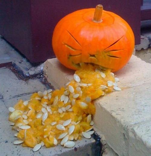 hornoxe.com_halloween_kotzende_kuerbisse_52