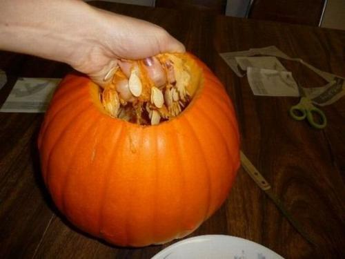 hornoxe.com_halloween_kuerbis_basteln_08