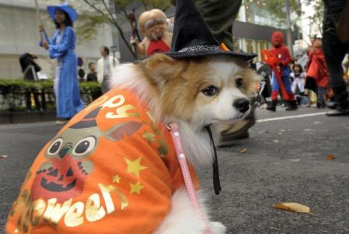 JAPAN-FESTIVAL-HALLOWEEN