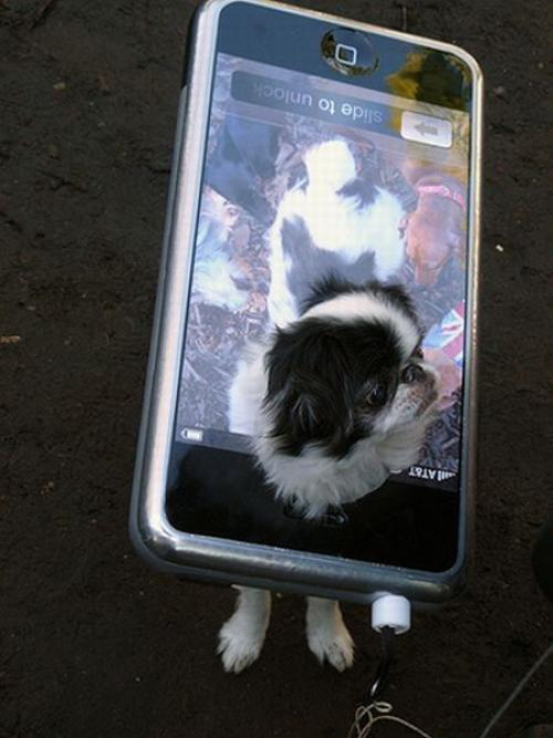 hornoxe.com_halloween_mix_picdump_062