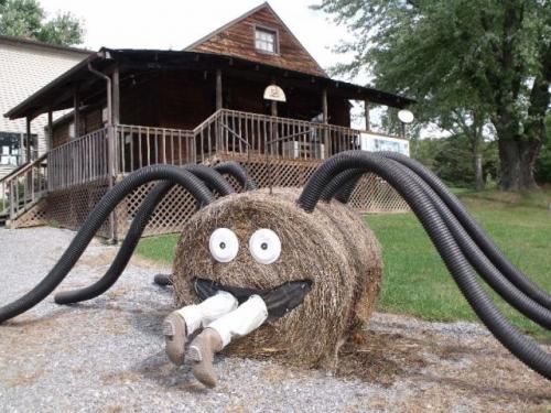 hornoxe.com_halloween_mix_picdump_110