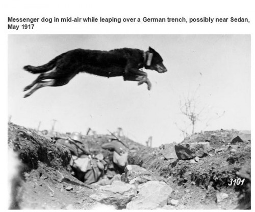 historische-fotos10-16