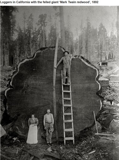 historische-fotos12-20