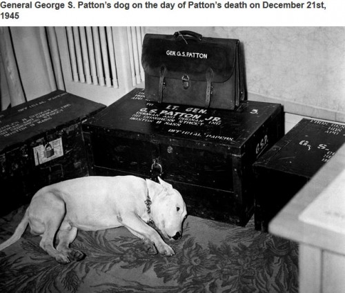 historische-fotos13-14