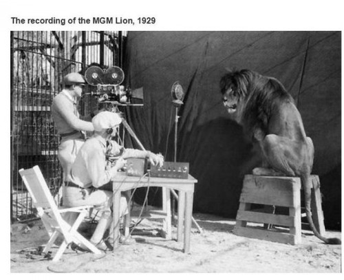 historische-fotos14-16