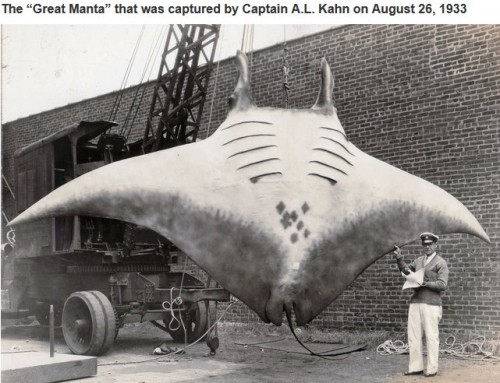 historische-fotos16-14