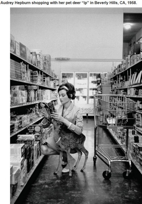 historische-fotos20-15