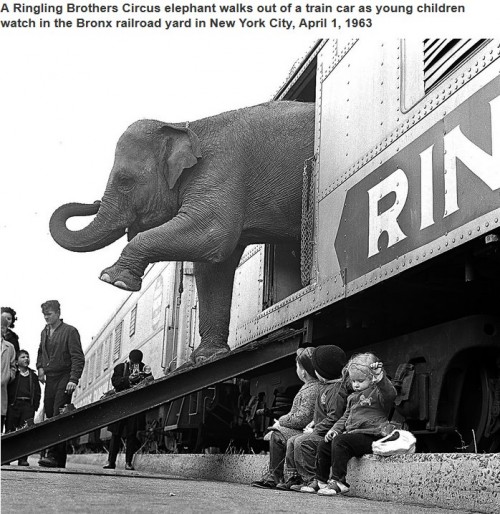 historische-fotos24-10