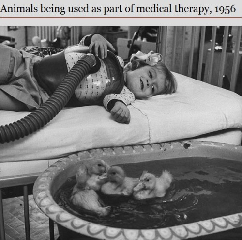 rare_historical_photos3_15