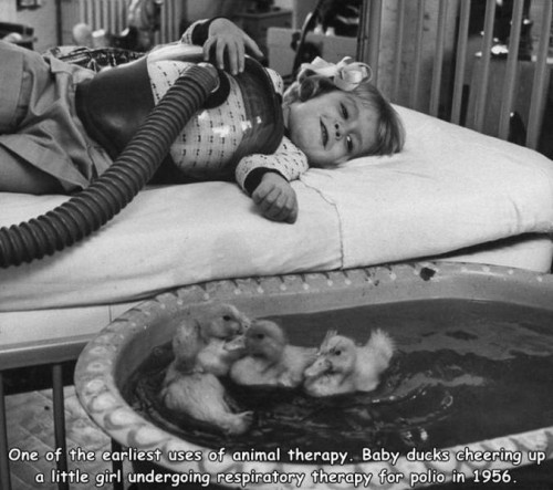 historische-fotos42-12