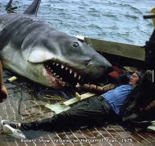 historische-fotos46-7