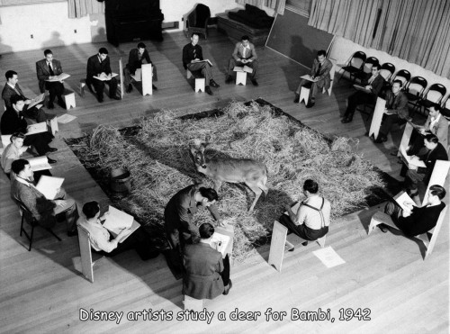 historische-fotos52-12