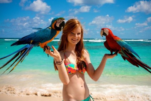 horni_babes04_red_35