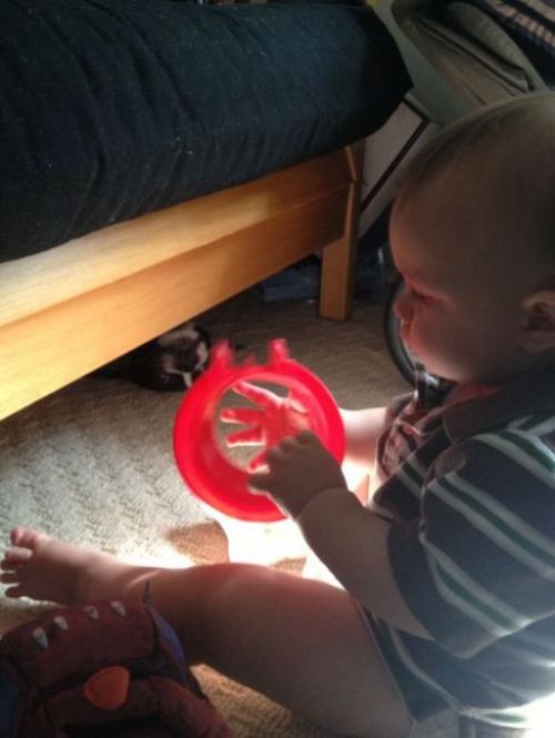 hornoxe.com_photobombs_picdump01_36