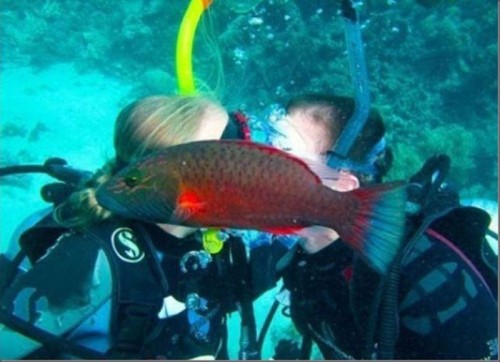 hornoxe.com_photobombs_picdump04_09