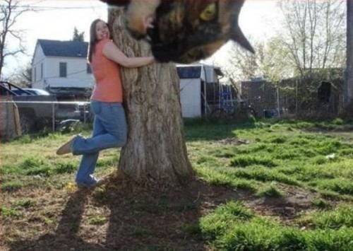 hornoxe.com_photobombs_picdump04_25