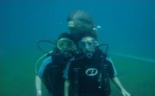 hornoxe.com_photobombs_picdump04_33