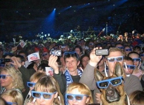 hornoxe.com_photobombs_picdump04_35