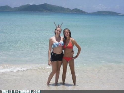 hornoxe.com_photobombs_picdump05_02