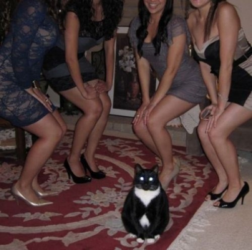 hornoxe.com_photobombs_picdump05_08