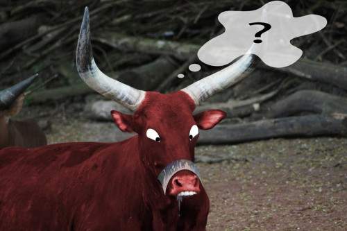 hornoxe.com_picdump106_37