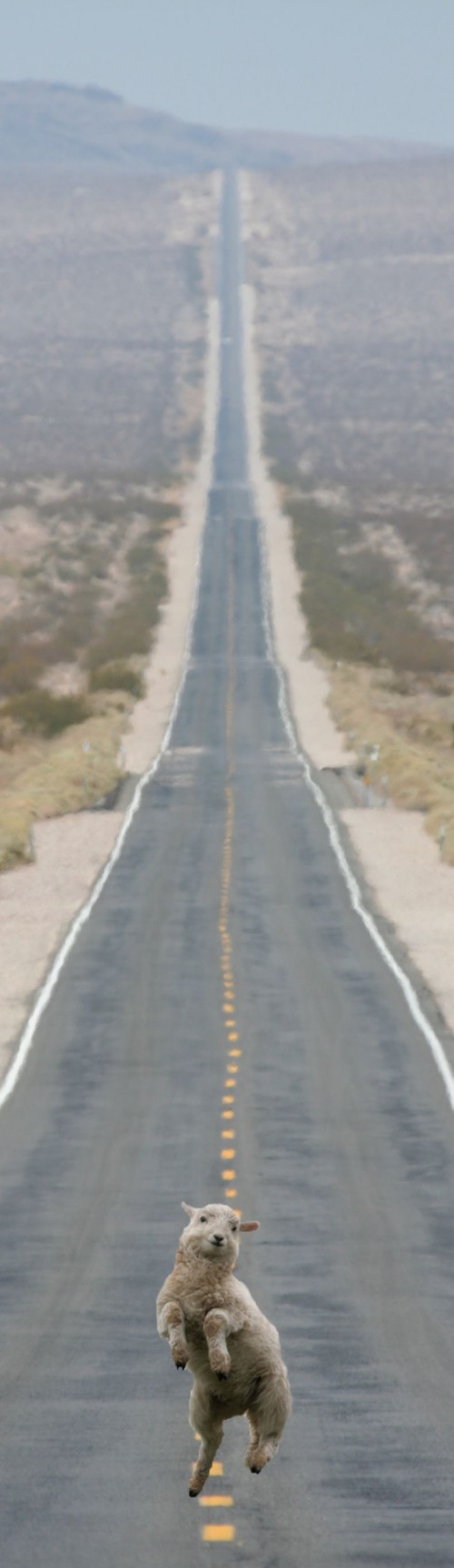 hornoxe.com_picdump106_42