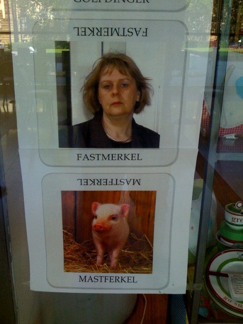 hornoxe.com_picdump110_27