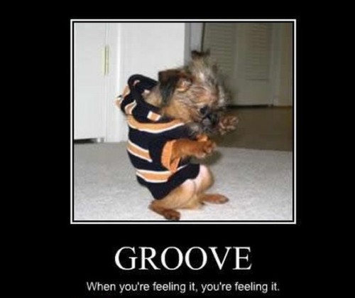 hornoxe.com_picdump110_37