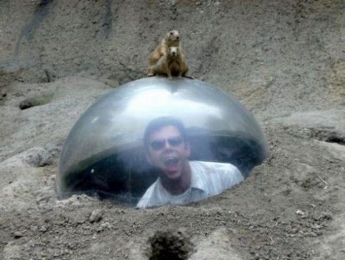 hornoxe.com_picdump110_70