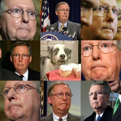 hornoxe.com_picdump117_40