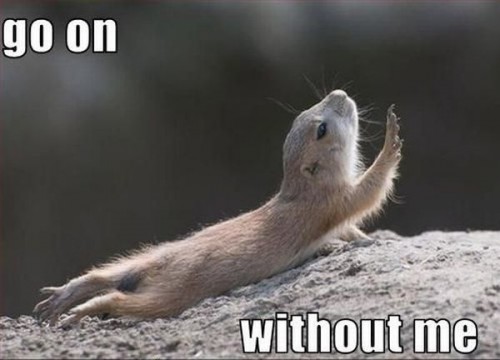 hornoxe.com_picdump117_46