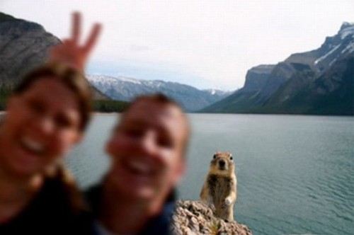 hornoxe.com_picdump117_51