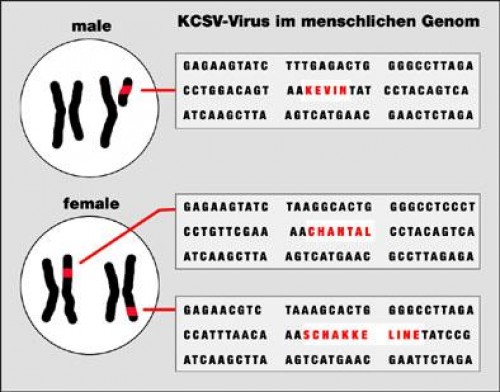 hornoxe.com_picdump118_37