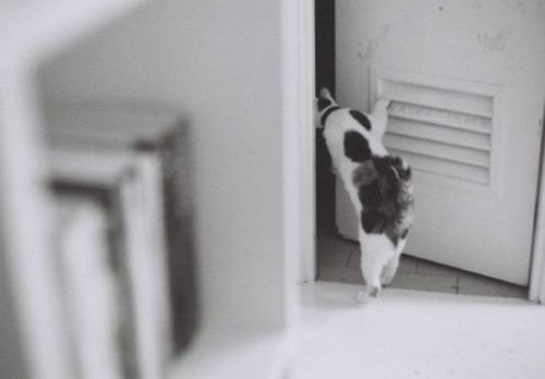 hornoxe.com_picdump118_48