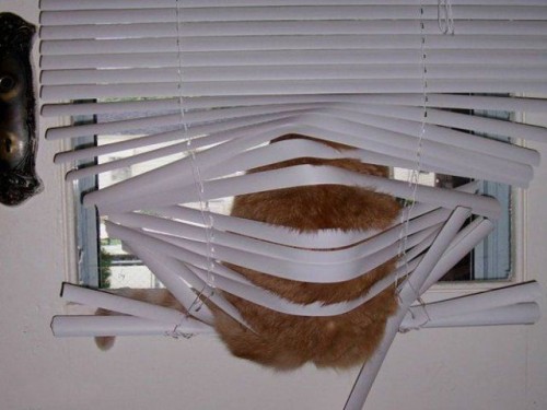 hornoxe.com_picdump118_53