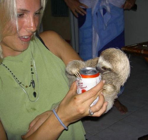 hornoxe.com_picdump118_64