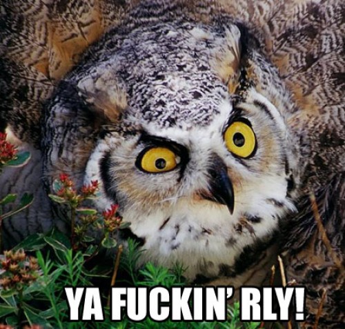 hornoxe.com_picdump118_87