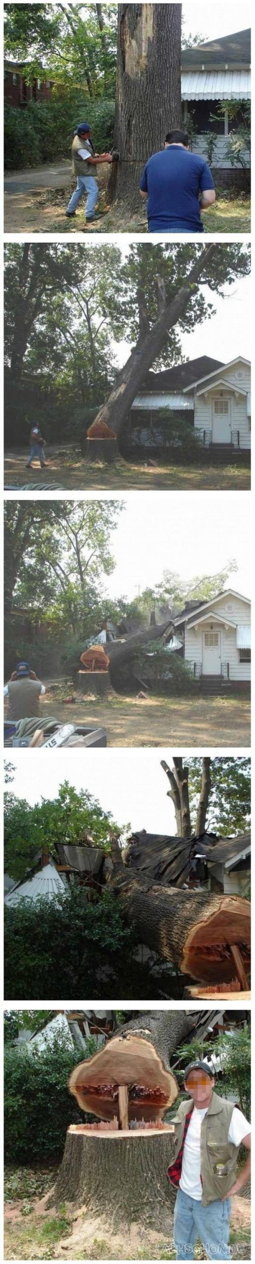 hornoxe.com_picdump119_12