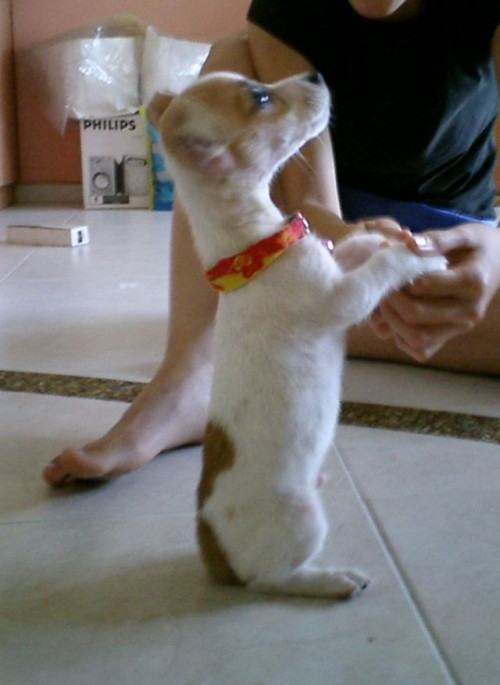 hornoxe.com_picdump119_40