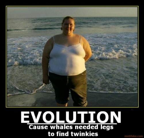 hornoxe.com_picdump120_25