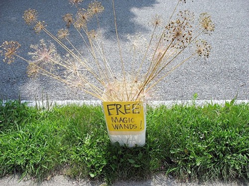 hornoxe.com_picdump125_10